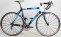 VeloVie Vitesse 300 - CA Pools Cycling Team Custom