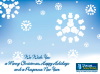 Custom Corporate Christmas / New Year / Holiday Greeting Cards / eCards - Storage Solutions 2009