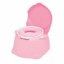 Potty Chair by Safety 1st - Also a step stool, trainer seat fits adult toilet
