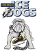 Long Beach Ice Dogs - ECHL Hockey
